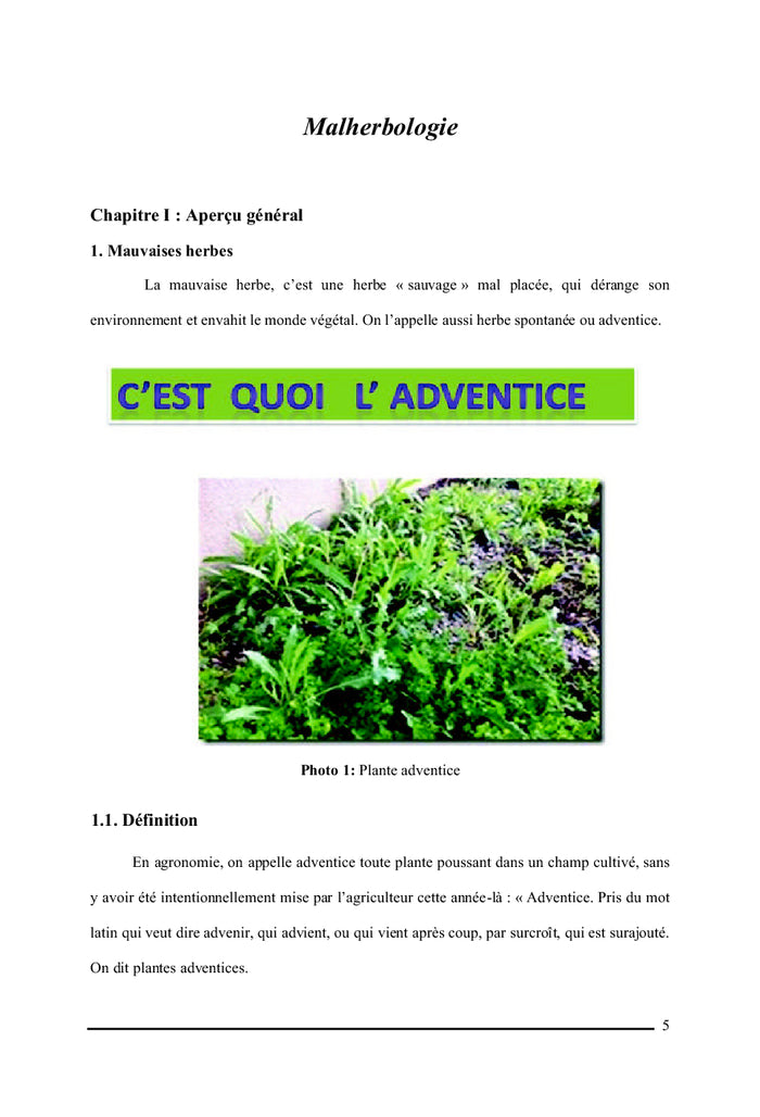 Plante adventice