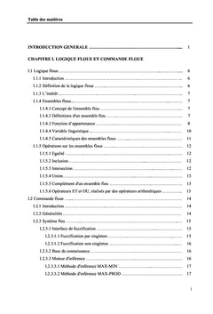Exploitation des systemes flous de Takagi-Sugeno discrets