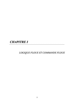 Exploitation des systemes flous de Takagi-Sugeno discrets
