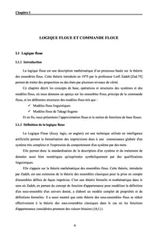 Exploitation des systemes flous de Takagi-Sugeno discrets