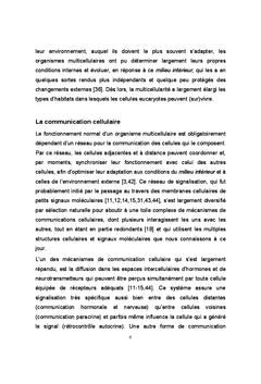 Connexines, pannexines et communications cellulaires