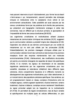 Connexines, pannexines et communications cellulaires