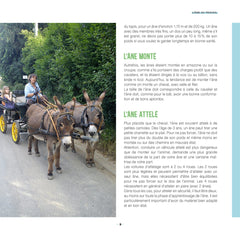 J'accueillerais bien un âne !