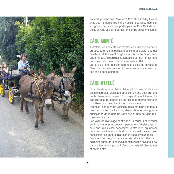 J'accueillerais bien un âne !