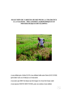 Selection de varietes de riz pour la tolerance A la salinite