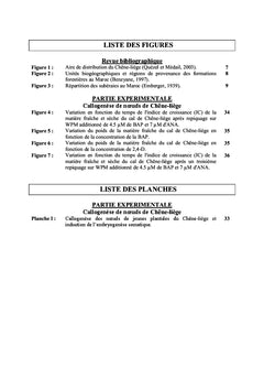 Callogenese et embryogenese Somatique du Chène-liège Quercus suber L.