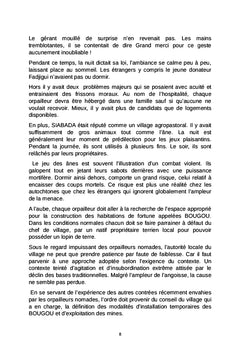 Kokoundo ou l'hécatombe de la déperdition sociale