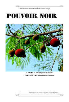 Pouvoir Noir