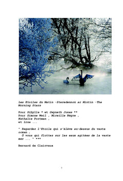 Les Etoiles du Matin - La Dernière Chute