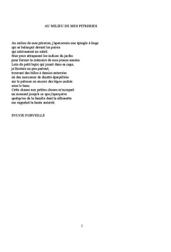 Dans la brume de l'enfance