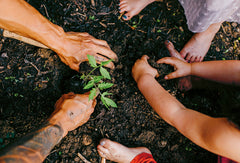 Vivre en collectif - Outils et retours d'expérience