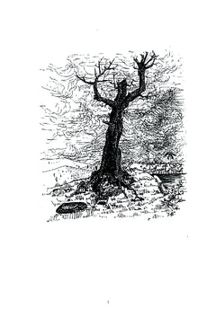 L'arbre foudroyé