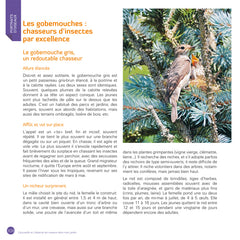 J'accueille et j'observe les oiseaux dans mon jardin