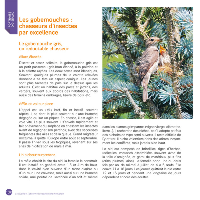 J'accueille et j'observe les oiseaux dans mon jardin