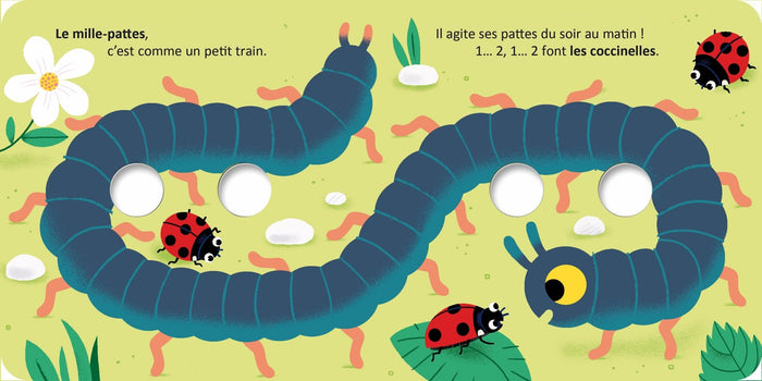 Drôles de doigts - Les bébêtes dans l'herbe