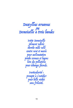 Amis Mots Marins