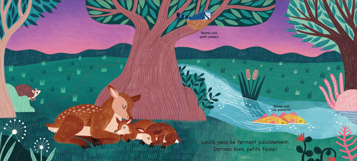 Au dodo, mon tout-petit !