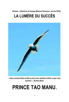 La Lumière Du Succès