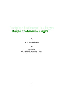 Description et fonctionnement de la foggara