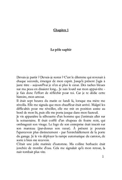 Fenêtres Brisées