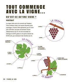 Le vin en un coup d'oeil, 3e édition