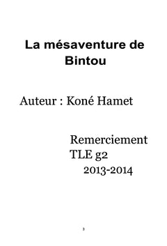 La mésaventure de Bintou