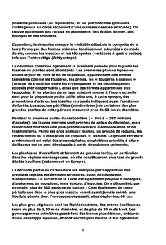 Le canard emballé