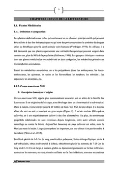 Analyse phytochimique et aperçu des activités biologiques de fruits