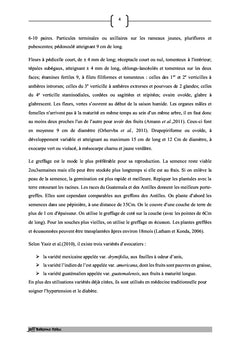 Analyse phytochimique et aperçu des activités biologiques de fruits