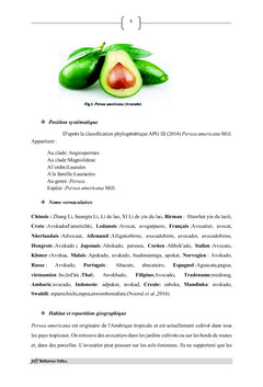 Analyse phytochimique et aperçu des activités biologiques de fruits