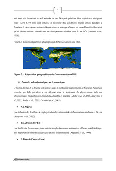 Analyse phytochimique et aperçu des activités biologiques de fruits
