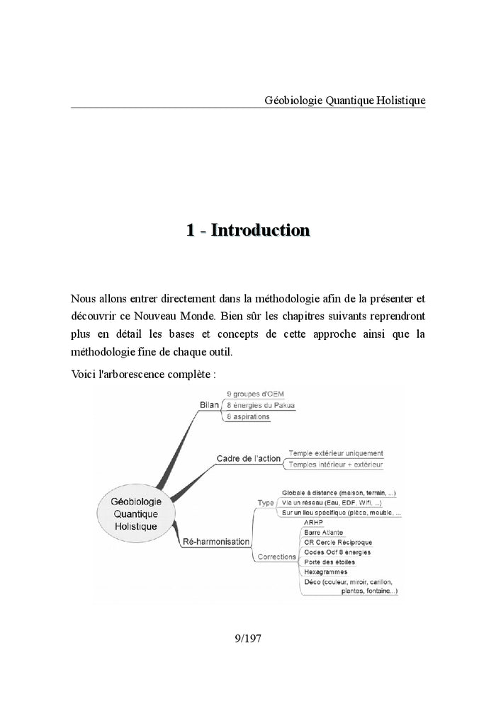 Geobiologie Quantique Holistique