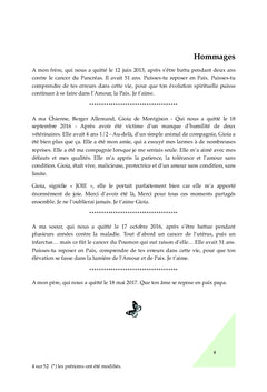 Ma "RE"naissance à travers les bienfaits de la Thérapie Holistique