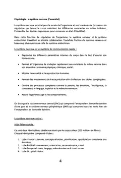 Le Amma, l'art de vivre en harmonie