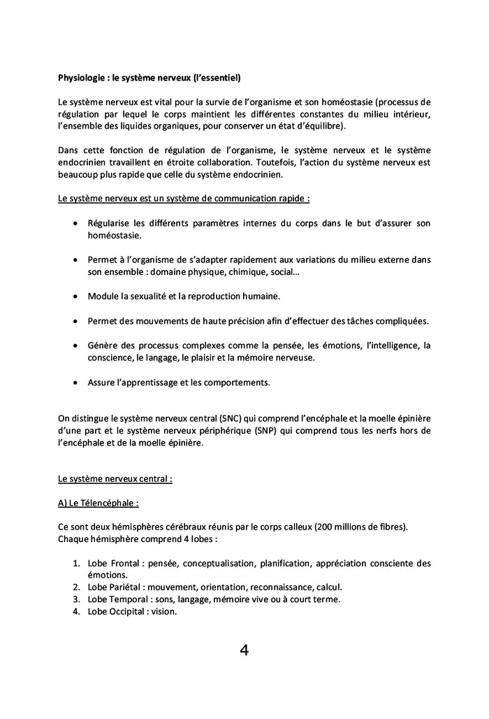 Le Amma, l'art de vivre en harmonie