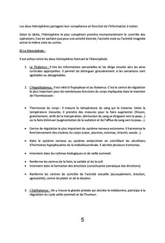 Le Amma, l'art de vivre en harmonie