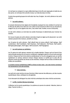 Le Amma, l'art de vivre en harmonie