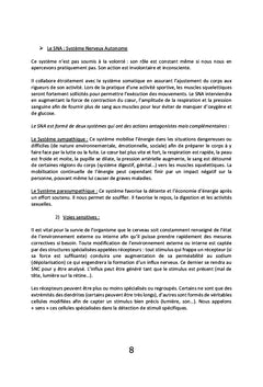 Le Amma, l'art de vivre en harmonie