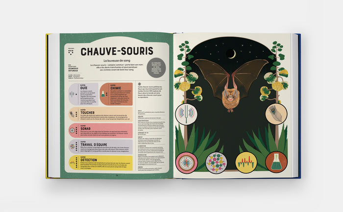 Supersanimaux - Superpouvoirs