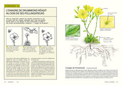 Sensibles par nature