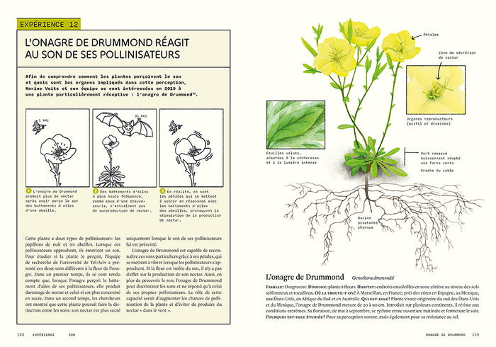 Sensibles par nature