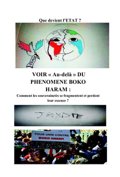 VOIR " au-delà " du phénomène Boko Haram !