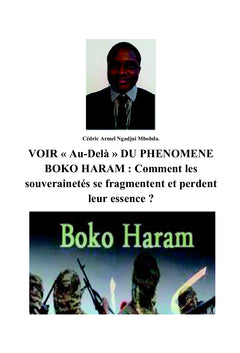 VOIR " au-delà " du phénomène Boko Haram !