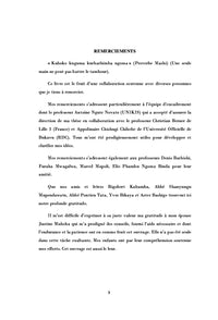 Ethique et democratie en Afrique subsaharienne