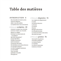 Inspiration citrouille