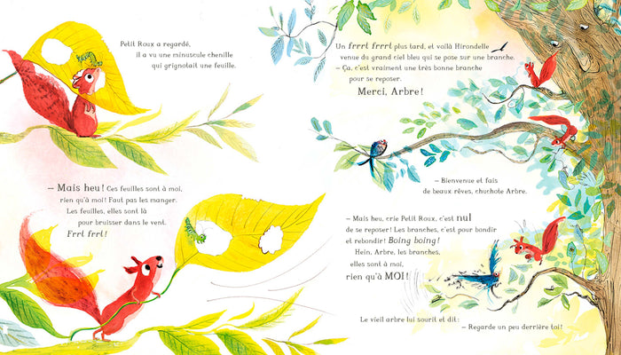 L'arbre de Petit Roux, l'écureuil