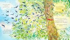 L'arbre de Petit Roux, l'écureuil