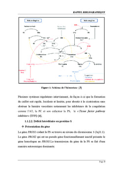 Evaluation des demandes du bilan de thrombophilie au Sud Tunisien