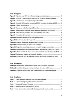 Gestion durable de la réserve de Biosphère de Dimonika