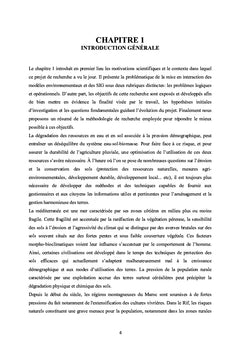 Contribution méthodologique à la gestion des bassins versant au Maroc